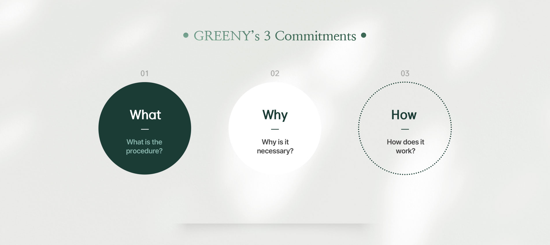 GREENY’s 3 Commitments