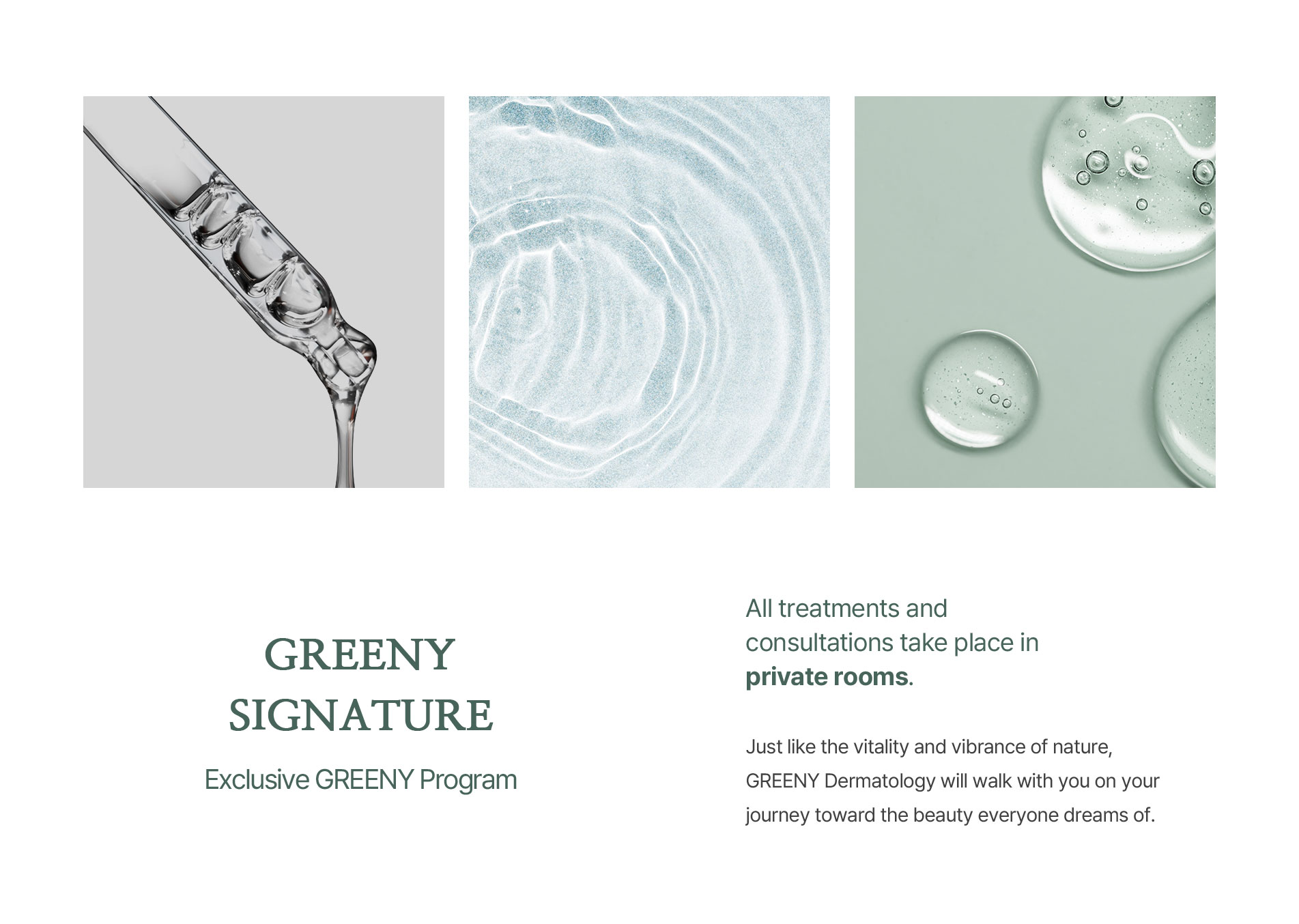 Exclusive GREENY Program